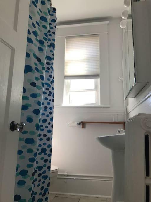Bright, Clean, Private. In The Heart Of Downtown! Parking, Wi-Fi And Netflix Included Apartment Ottawa Exterior photo